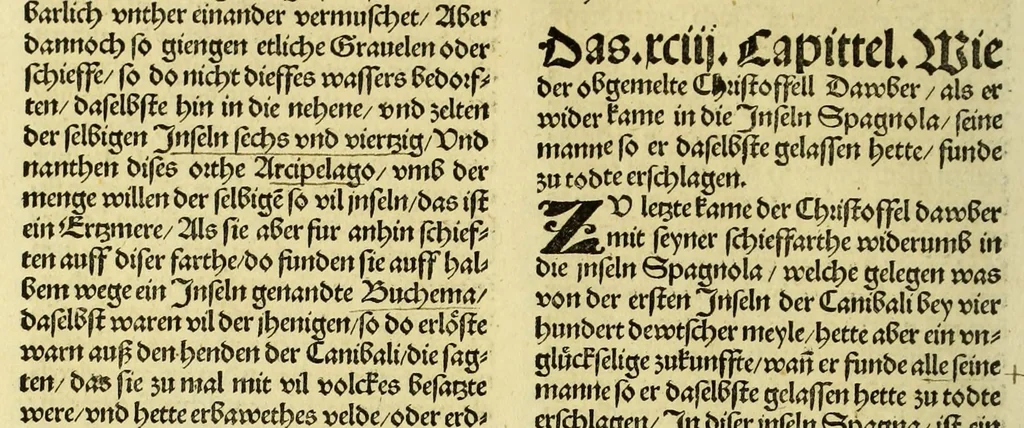An illustration from Newe vnbekanthe Landte und ein newe Weldte in kurtz verganger Zeythe erfunden, 1508, leaf 88