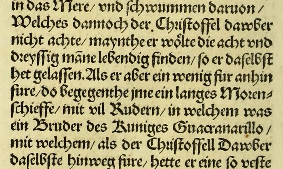 An illustration from Newe vnbekanthe Landte und ein newe Weldte in kurtz verganger Zeythe erfunden, 1508, leaf 88