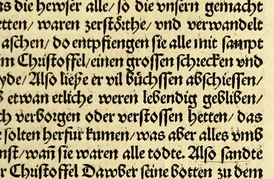 An illustration from Newe vnbekanthe Landte und ein newe Weldte in kurtz verganger Zeythe erfunden, 1508, leaf 89