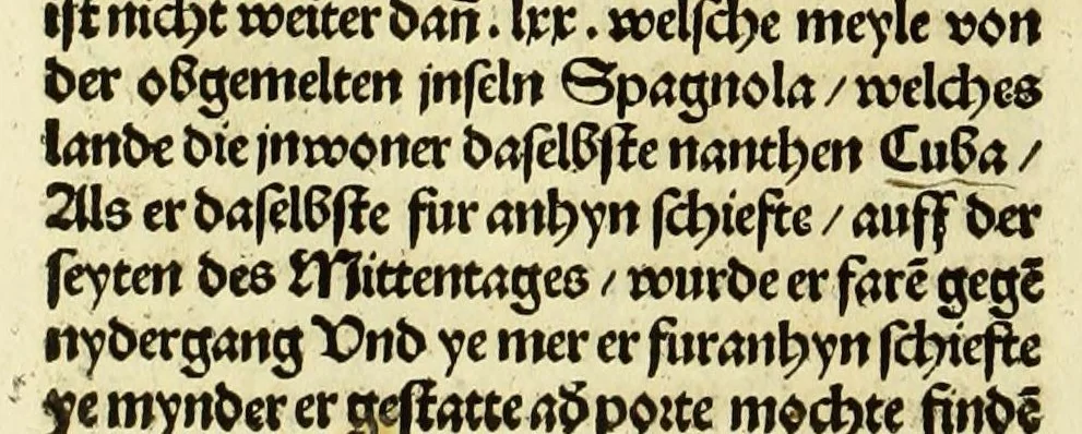 An illustration from Newe vnbekanthe Landte und ein newe Weldte in kurtz verganger Zeythe erfunden, 1508, leaf 92