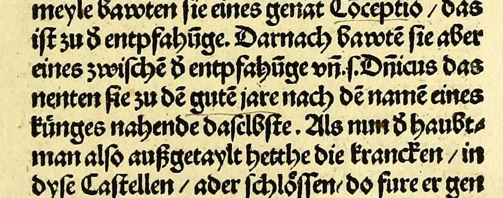An illustration from Newe vnbekanthe Landte und ein newe Weldte in kurtz verganger Zeythe erfunden, 1508, leaf 97