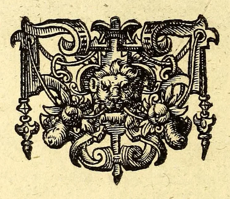 An illustration from Newe Welt. : Warhafftige Anzeigung der Hispanier grewlichen, abschewlichen vnd vnmenschlichen Tyranney, von jhnen inn den indianischen Ländern, so gegen Nidergang der Sonnen gelegen, vnd die Newe Welt genennet wird, begangen., 1597, leaf 194