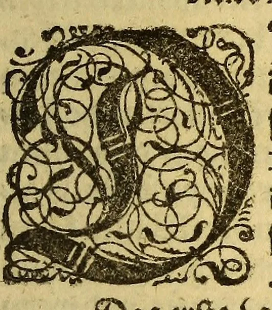 An illustration from Newe Welt. : Warhafftige Anzeigung der Hispanier grewlichen, abschewlichen vnd vnmenschlichen Tyranney, von jhnen inn den indianischen Ländern, so gegen Nidergang der Sonnen gelegen, vnd die Newe Welt genennet wird, begangen., 1597, leaf 25