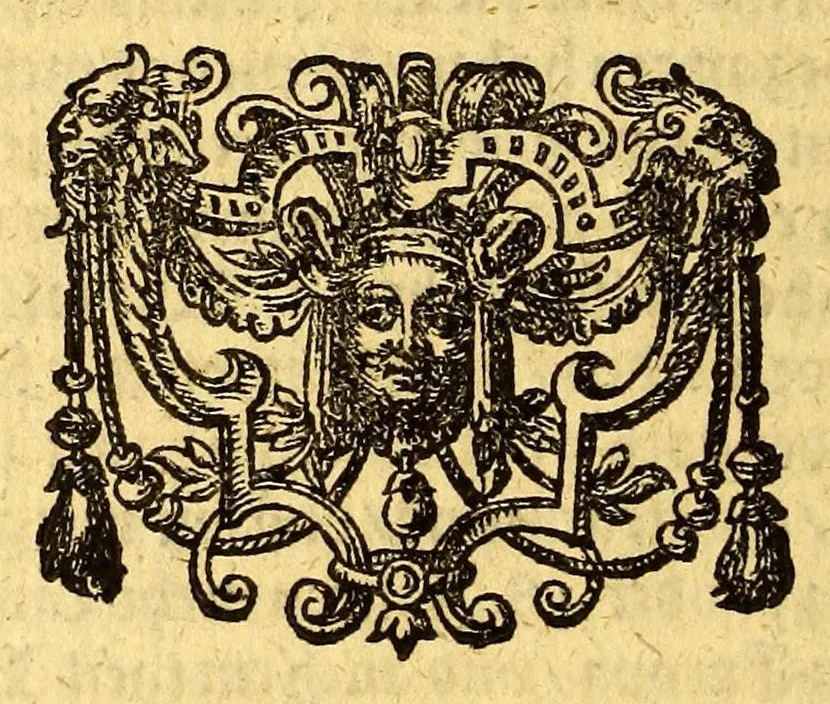 An illustration from Newe Welt. : Warhafftige Anzeigung der Hispanier grewlichen, abschewlichen vnd vnmenschlichen Tyranney, von jhnen in den indianischen Ländern, so gegen Nidergang der Sonnen gelegen, vnd die Newe Welt genennet wird, begangen., 1599, leaf 180