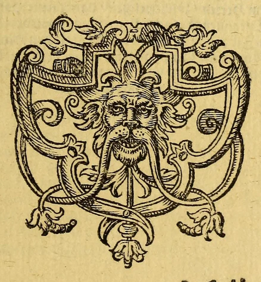 An illustration from Newe Welt. : Warhafftige Anzeigung der Hispanier grewlichen, abschewlichen vnd vnmenschlichen Tyranney, von jhnen in den indianischen Ländern, so gegen Nidergang der Sonnen gelegen, vnd die Newe Welt genennet wird, begangen., 1599, leaf 19