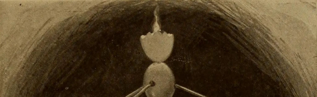 An illustration from New games and amusements for young and old alike, 1905, leaf 196