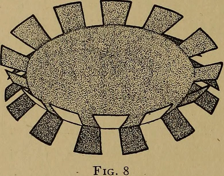 An illustration from New games and amusements for young and old alike, 1905, leaf 211