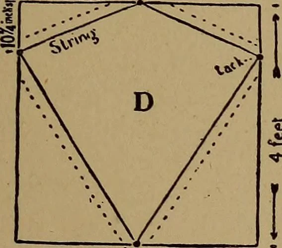 An illustration from New games and amusements for young and old alike, 1905, leaf 254