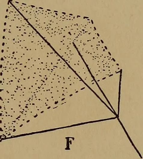 An illustration from New games and amusements for young and old alike, 1905, leaf 254