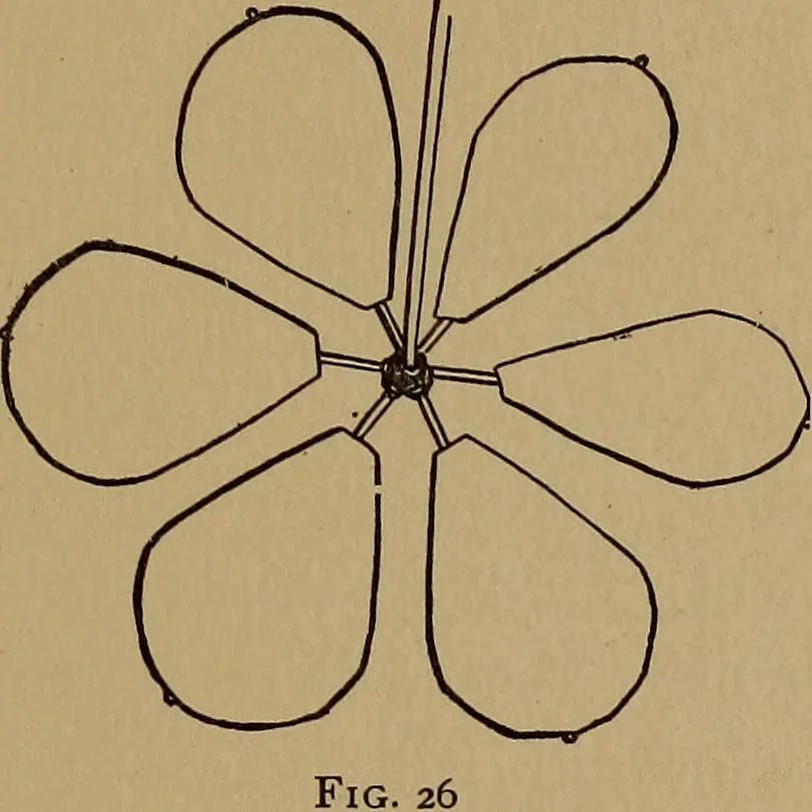 An illustration from New games and amusements for young and old alike, 1905, leaf 278
