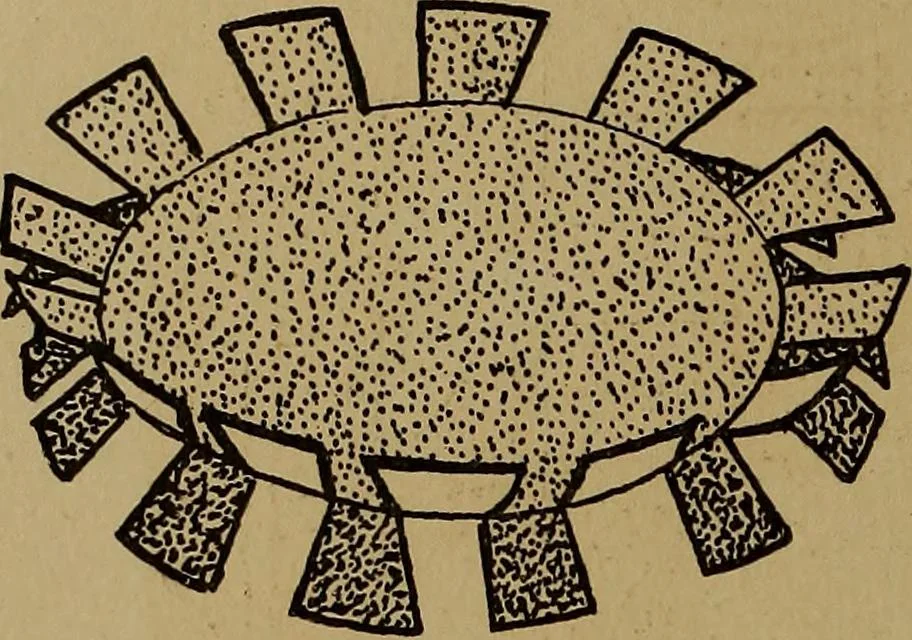 An illustration from New games and amusements for young and old alike, 1905, leaf 333