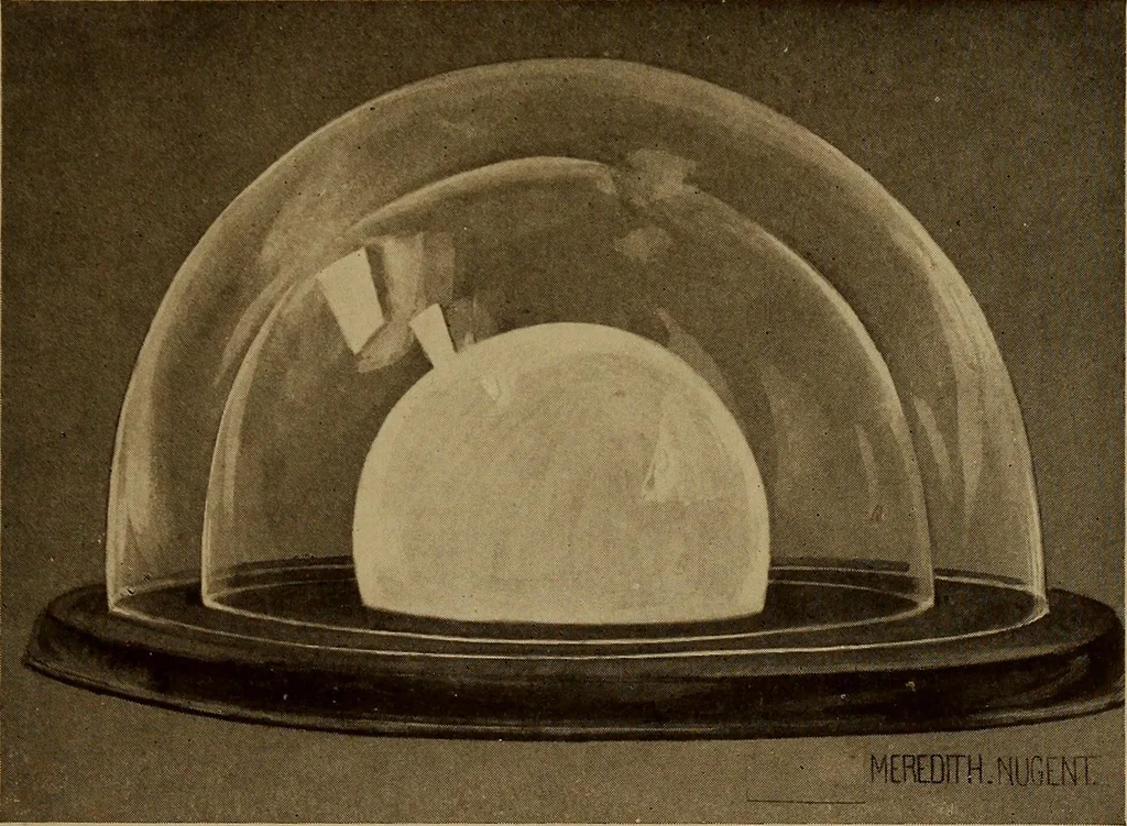 An illustration from New games and amusements for young and old alike, 1905, leaf 42
