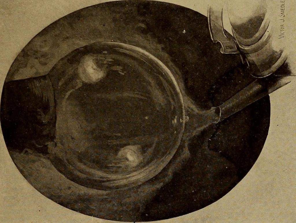 An illustration from New games and amusements for young and old alike, 1905, leaf 72