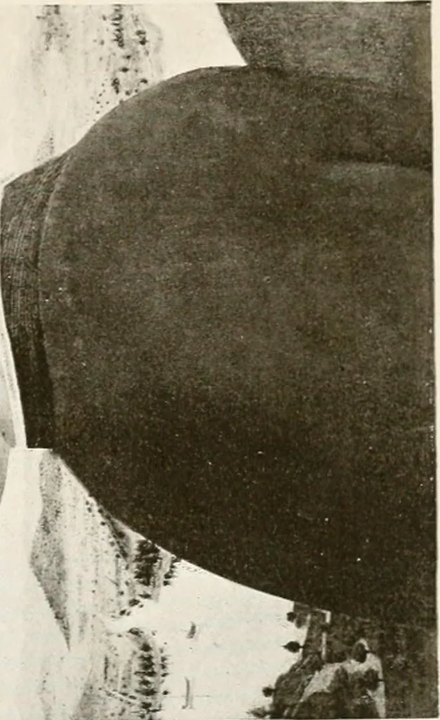 An illustration from A new history of painting in Italy, from the II to the XVI century;, 1908, leaf 40