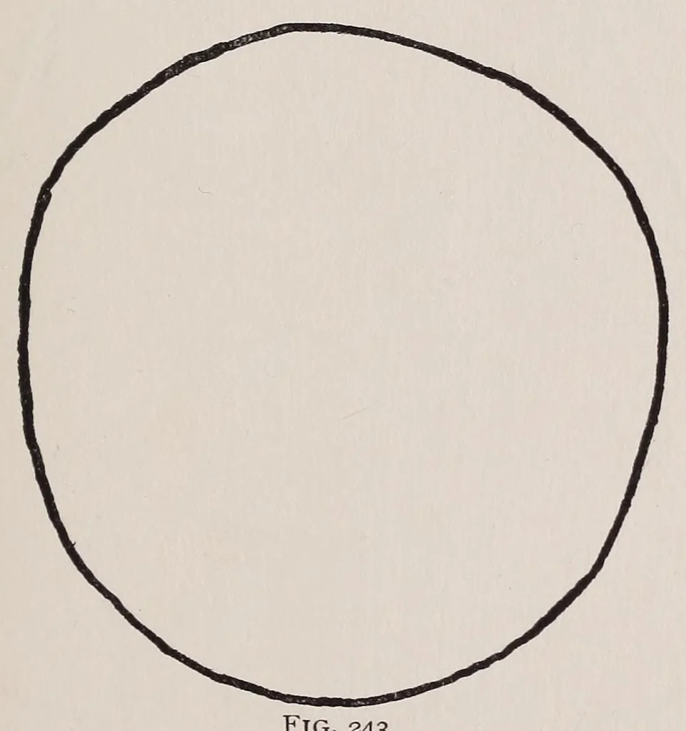 An illustration from New ideas for American boys; the Jack of all trades, 1900, leaf 271