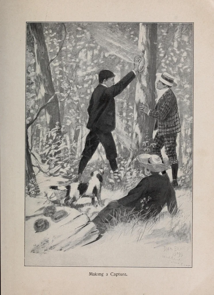 An illustration from New ideas for American boys; the Jack of all trades, 1900, leaf 45