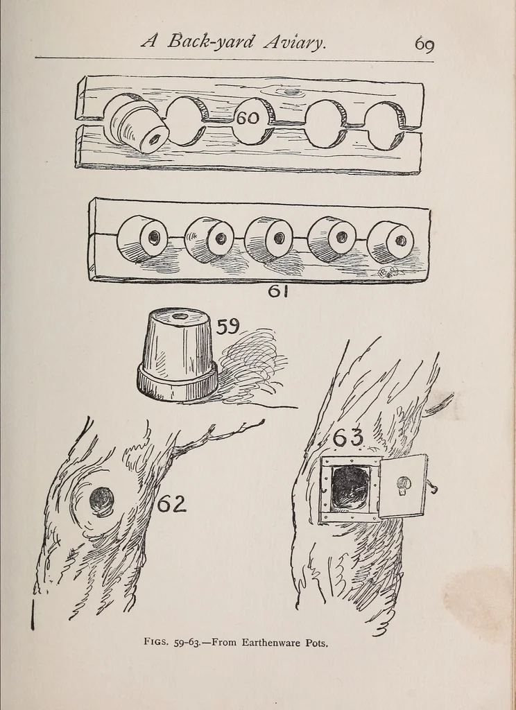 An illustration from New ideas for American boys; the Jack of all trades, 1900, leaf 99