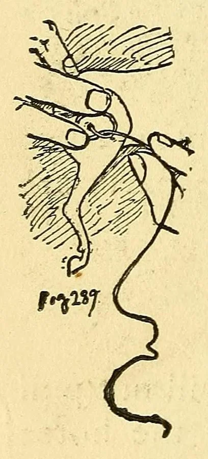 An illustration from New ideas for American boys; the Jack of all trades, 1900, leaf 282