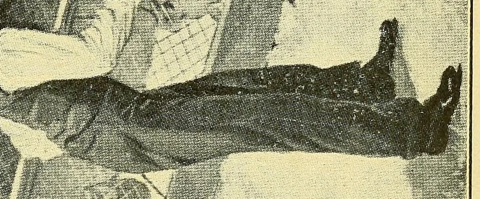 An illustration from New ideas for American boys; the Jack of all trades, 1900, leaf 37