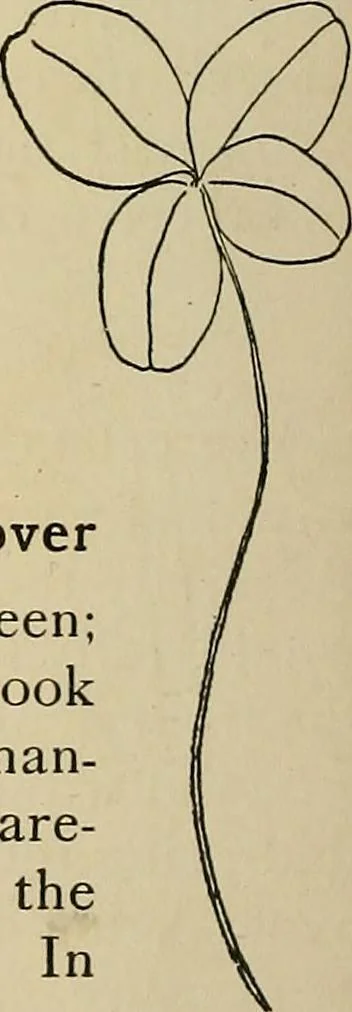 An illustration from New ideas for work and play; what a girl can make and do, 1902, leaf 111