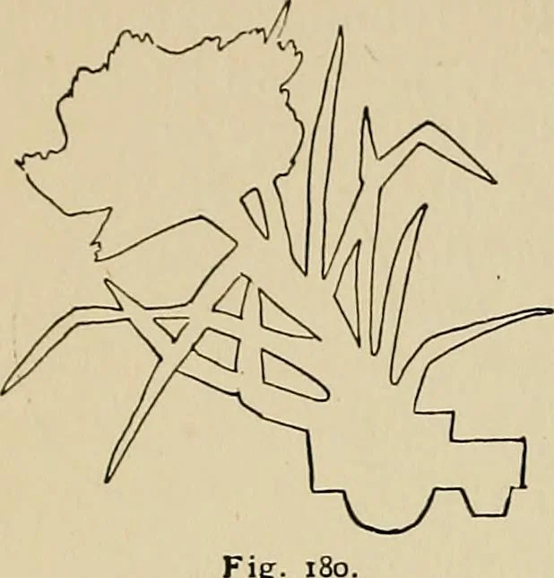 An illustration from New ideas for work and play; what a girl can make and do, 1902, leaf 119