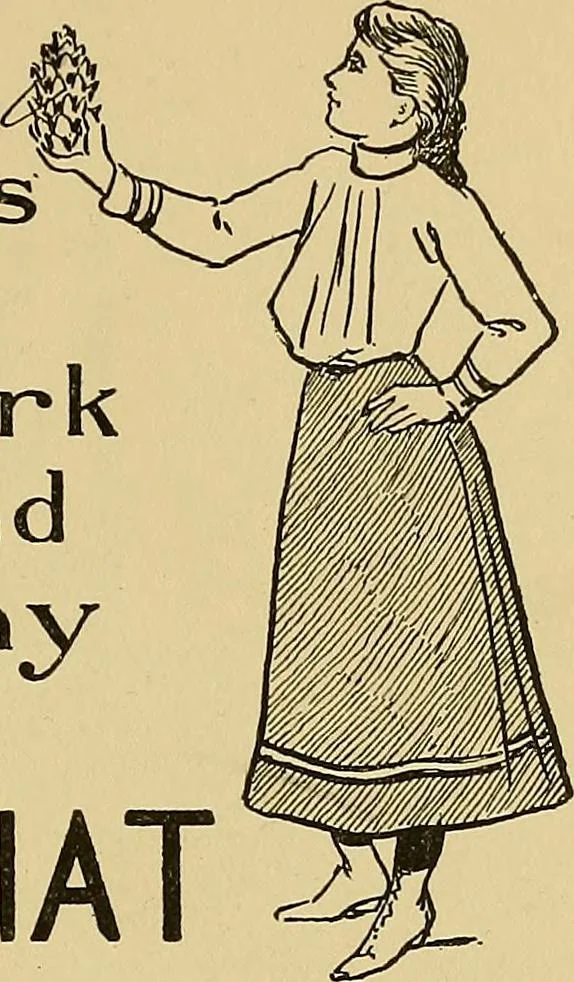 An illustration from New ideas for work and play; what a girl can make and do, 1902, leaf 12