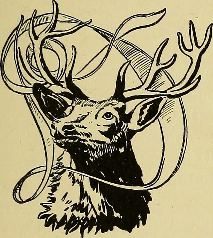 An illustration from New ideas for work and play; what a girl can make and do, 1902, leaf 122