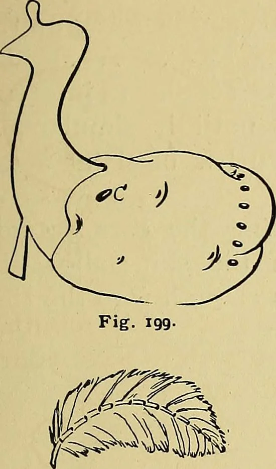 An illustration from New ideas for work and play; what a girl can make and do, 1902, leaf 124