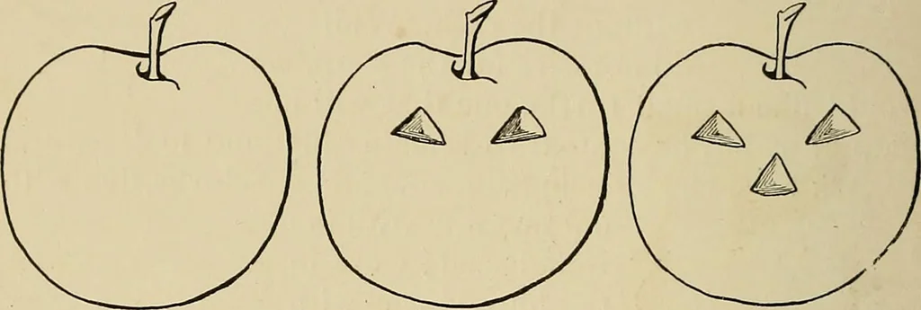An illustration from New ideas for work and play; what a girl can make and do, 1902, leaf 127