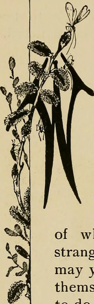 An illustration from New ideas for work and play; what a girl can make and do, 1902, leaf 139