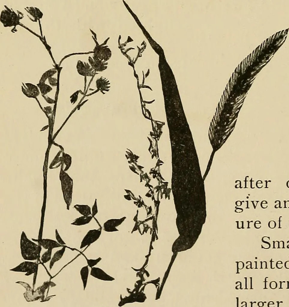 An illustration from New ideas for work and play; what a girl can make and do, 1902, leaf 145