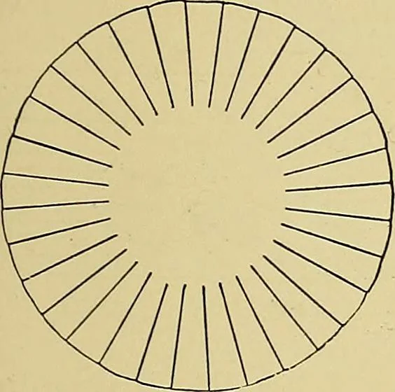 An illustration from New ideas for work and play; what a girl can make and do, 1902, leaf 160