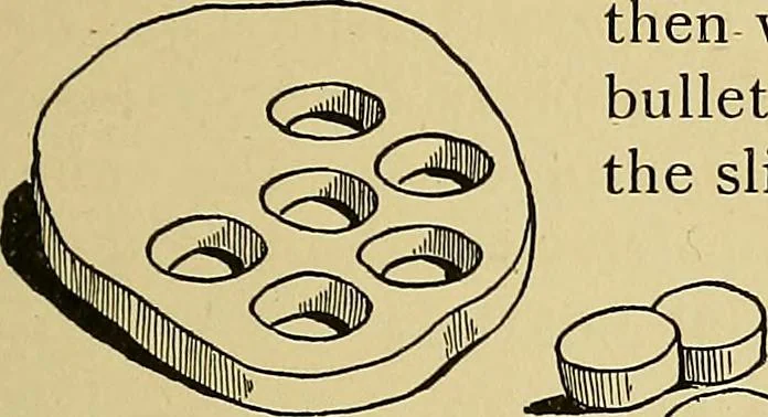 An illustration from New ideas for work and play; what a girl can make and do, 1902, leaf 166