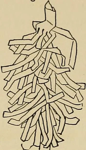 An illustration from New ideas for work and play; what a girl can make and do, 1902, leaf 167