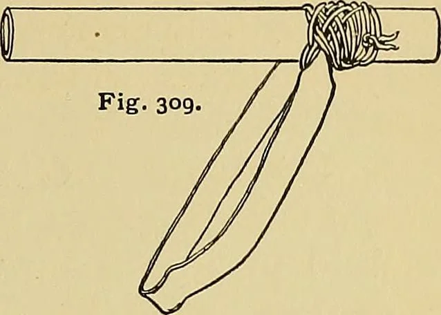 An illustration from New ideas for work and play; what a girl can make and do, 1902, leaf 168
