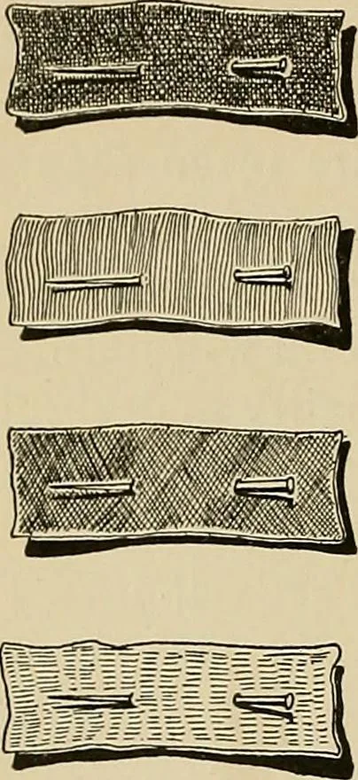An illustration from New ideas for work and play; what a girl can make and do, 1902, leaf 185