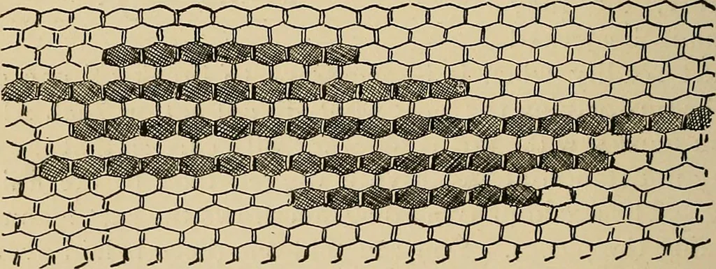An illustration from New ideas for work and play; what a girl can make and do, 1902, leaf 187
