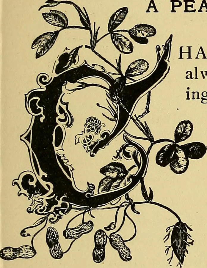 An illustration from New ideas for work and play; what a girl can make and do, 1902, leaf 194