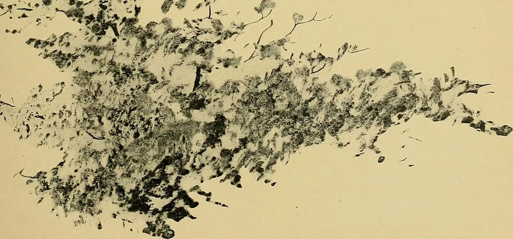 An illustration from New ideas for work and play; what a girl can make and do, 1902, leaf 198