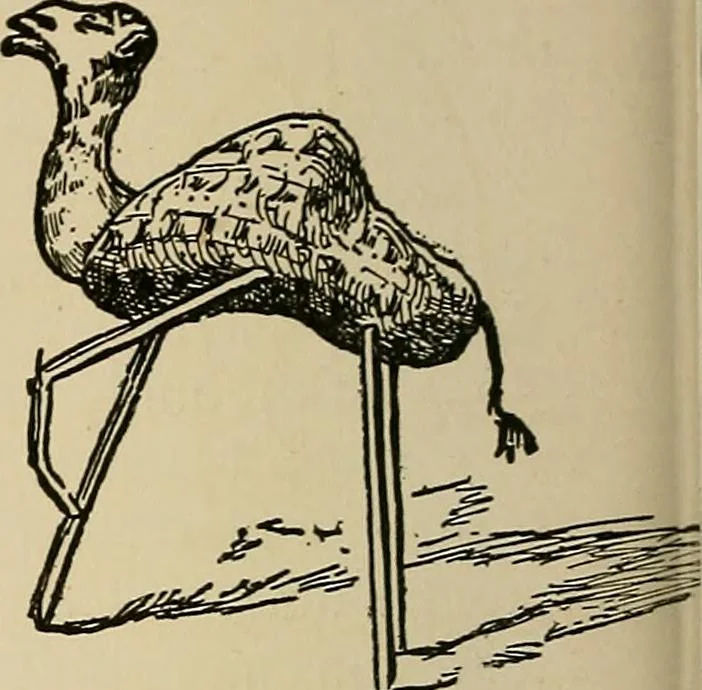 An illustration from New ideas for work and play; what a girl can make and do, 1902, leaf 201