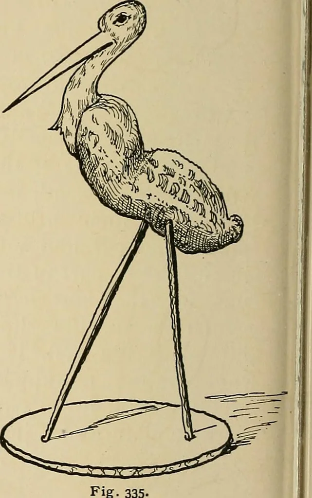 An illustration from New ideas for work and play; what a girl can make and do, 1902, leaf 203