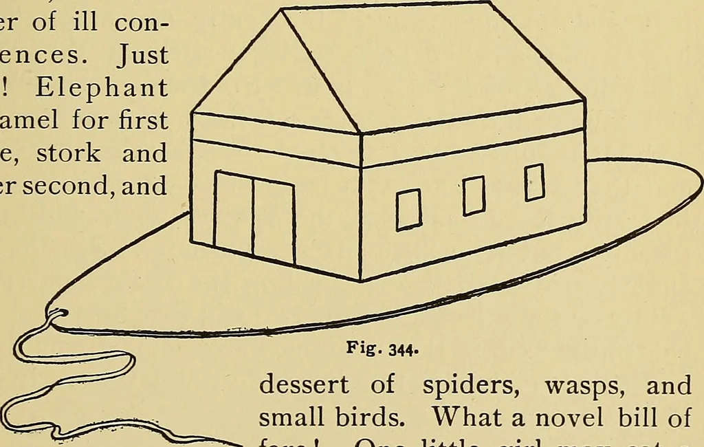 An illustration from New ideas for work and play; what a girl can make and do, 1902, leaf 208