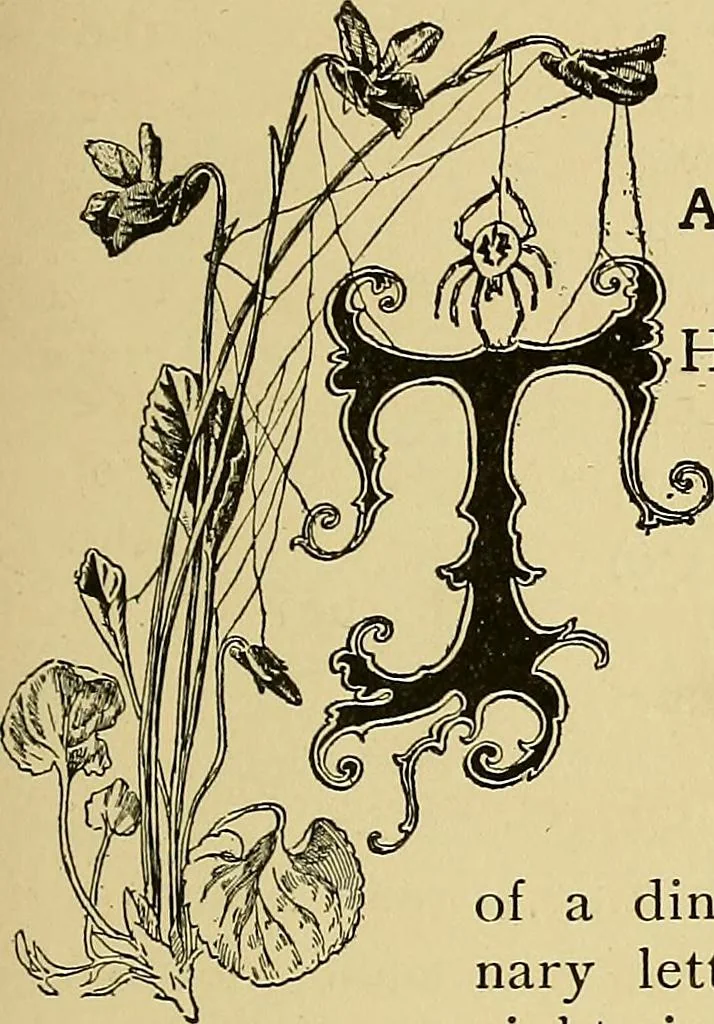 An illustration from New ideas for work and play; what a girl can make and do, 1902, leaf 210
