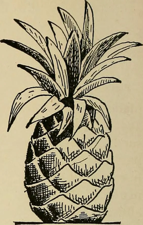 An illustration from New ideas for work and play; what a girl can make and do, 1902, leaf 211