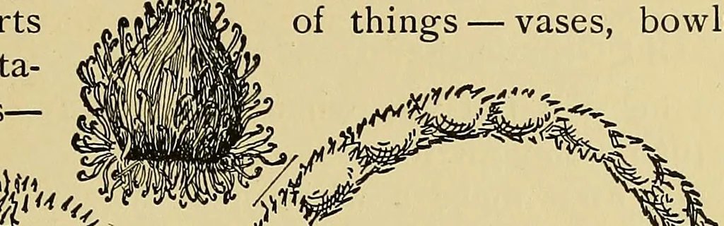 An illustration from New ideas for work and play; what a girl can make and do, 1902, leaf 216