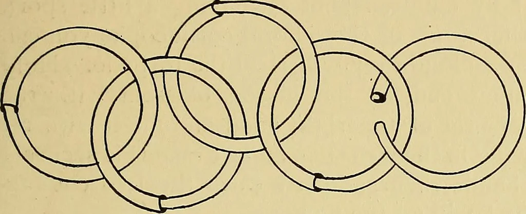 An illustration from New ideas for work and play; what a girl can make and do, 1902, leaf 218