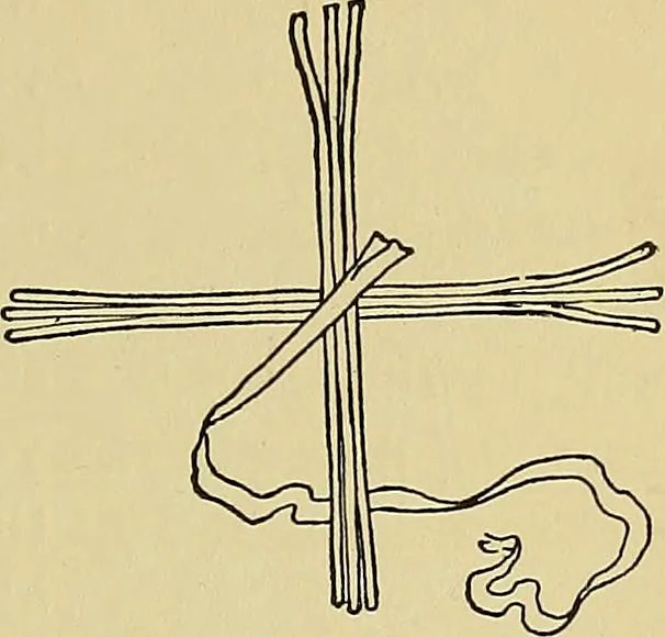 An illustration from New ideas for work and play; what a girl can make and do, 1902, leaf 224