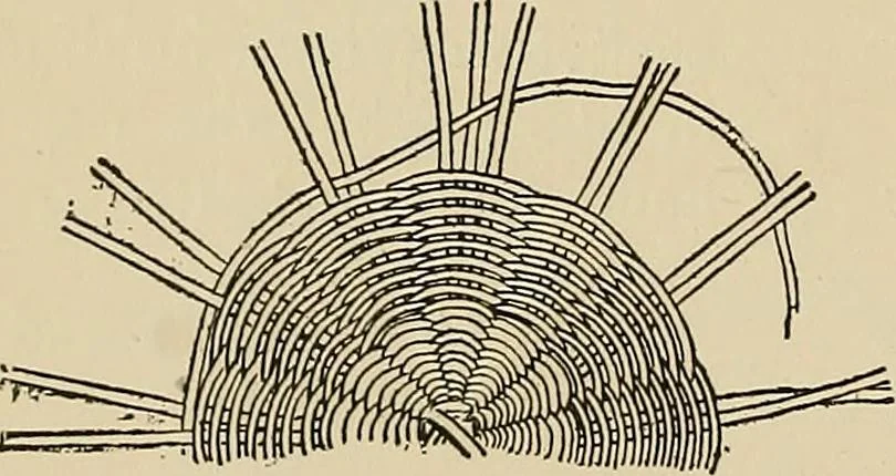 An illustration from New ideas for work and play; what a girl can make and do, 1902, leaf 229