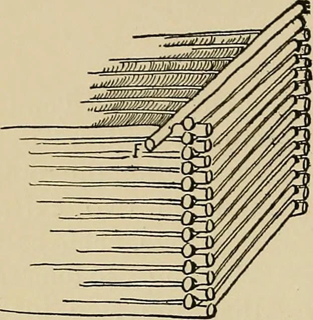 An illustration from New ideas for work and play; what a girl can make and do, 1902, leaf 239