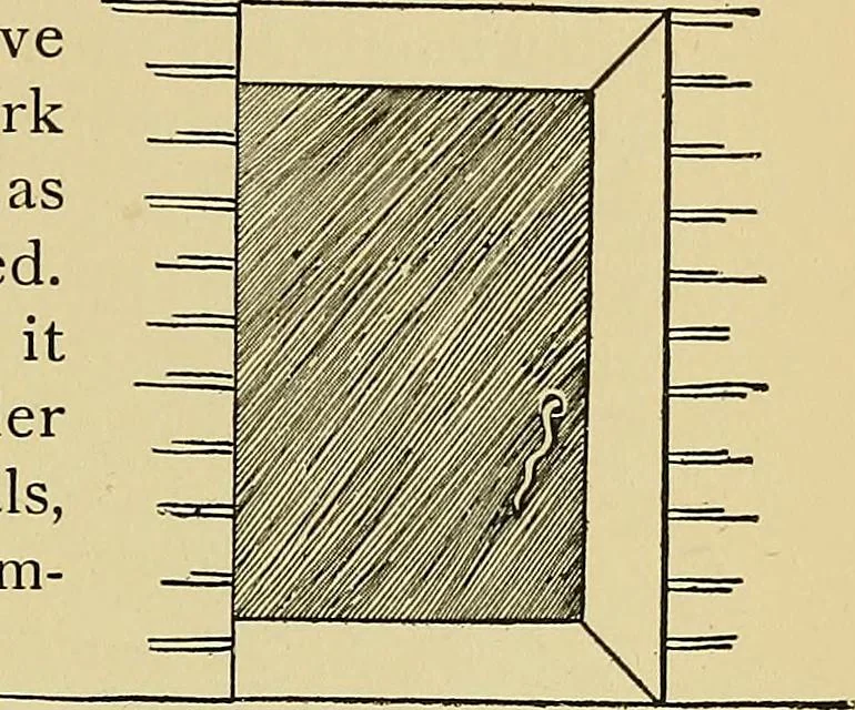An illustration from New ideas for work and play; what a girl can make and do, 1902, leaf 242
